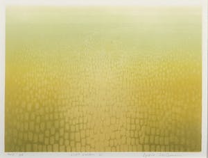 Lydia Oerlemans - Ets en aquatint, Licht velden II - Ingelijst kopen? Bied vanaf 50!