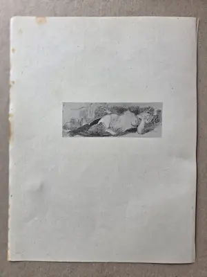 Felicien Rops - Zeven heliogravures. Vrouwen. 1905. kopen? Bied vanaf 139!