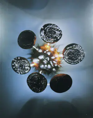 Paul den Hollander - Digitale print, Luminous Garden #27 kopen? Bied vanaf 50!