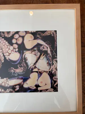 Lieve Prins - Onbekend kopen? Bied vanaf 50!