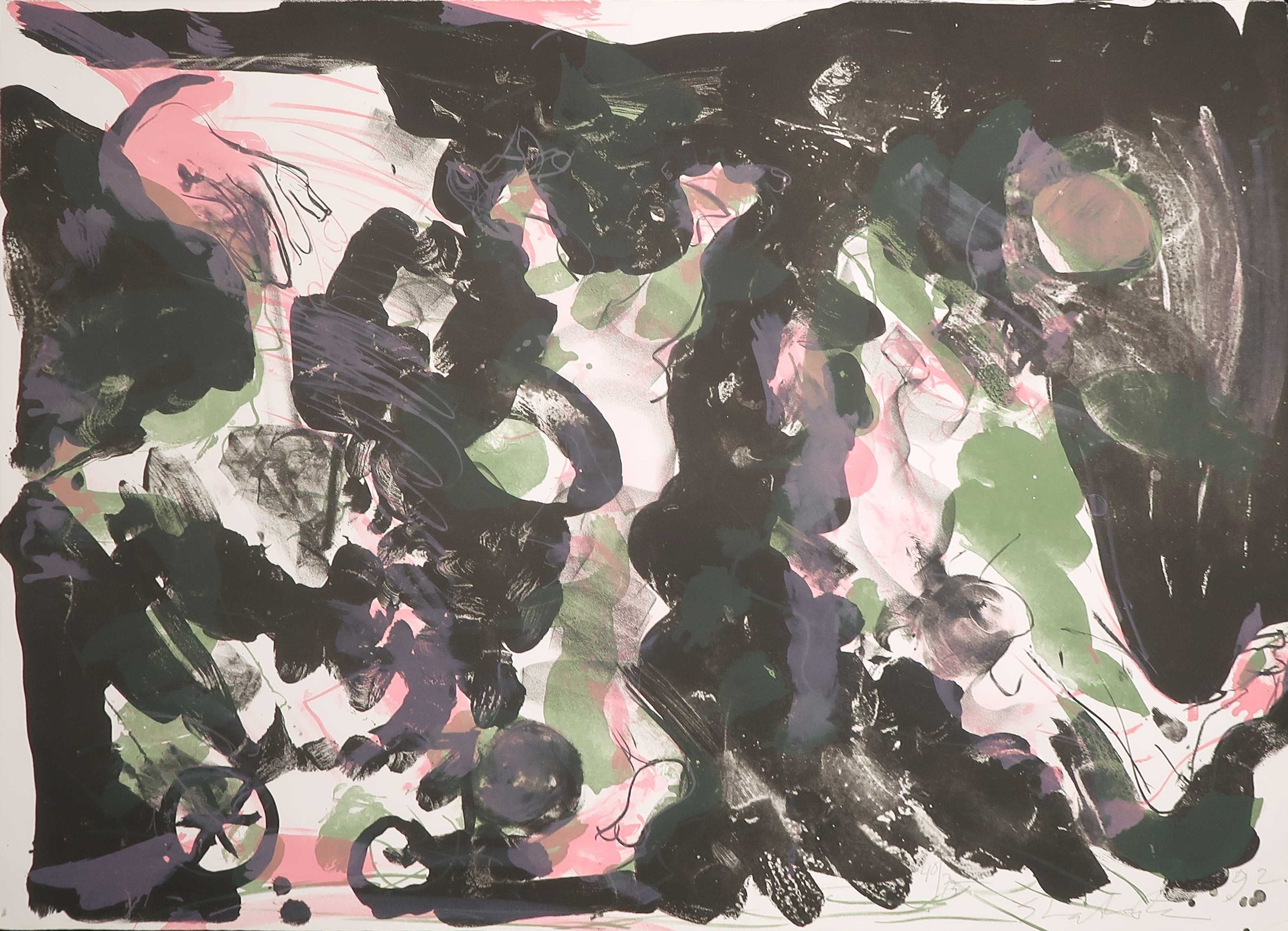 Ger Lataster - Litho, Donkere tuin verkocht voor € 40!