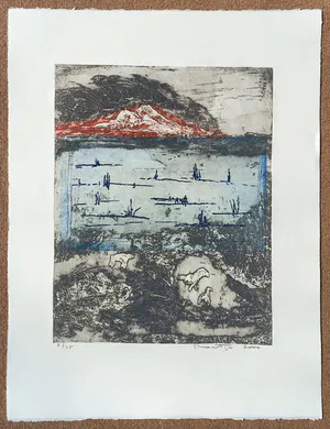 Jan Montyn - Patagonia, Argentina, aquatint ets kopen? Bied vanaf 115!
