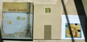 Beniti Cornelis - Een medecijnman in Mechelen 3 boeken verkauft für € 30!