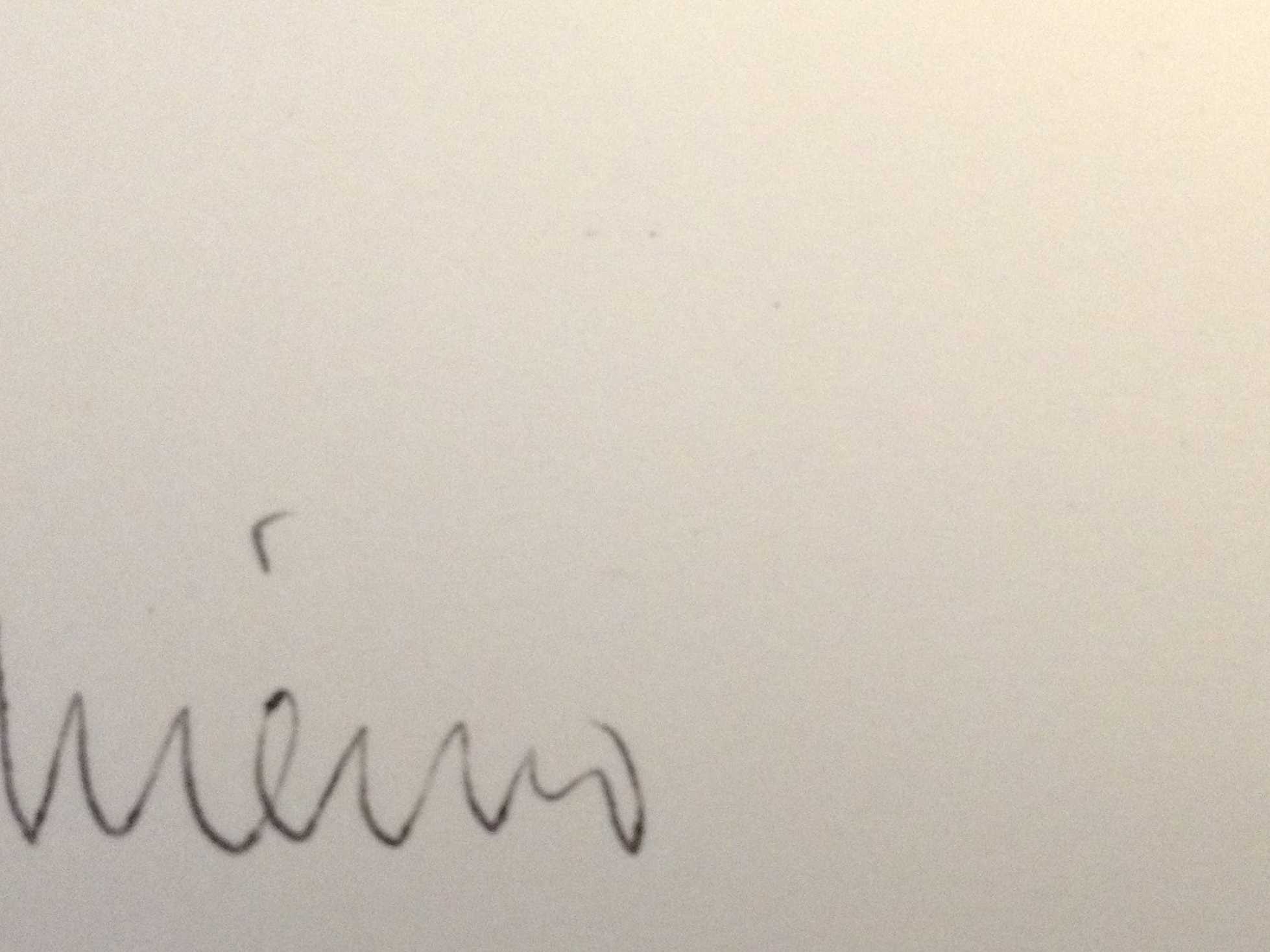 Herman Gordijn - Rimmel en Pukkel, 1972, nieuwjaarswens, litho kopen? Bied vanaf 20!