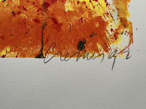 Jan Cremer - TULPEN kopen? Bied vanaf 175!