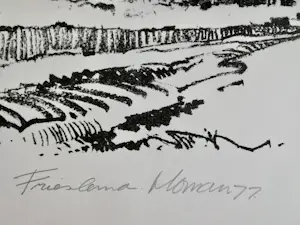 Jan Homan - Litho Friesland kopen? Bied vanaf 10!