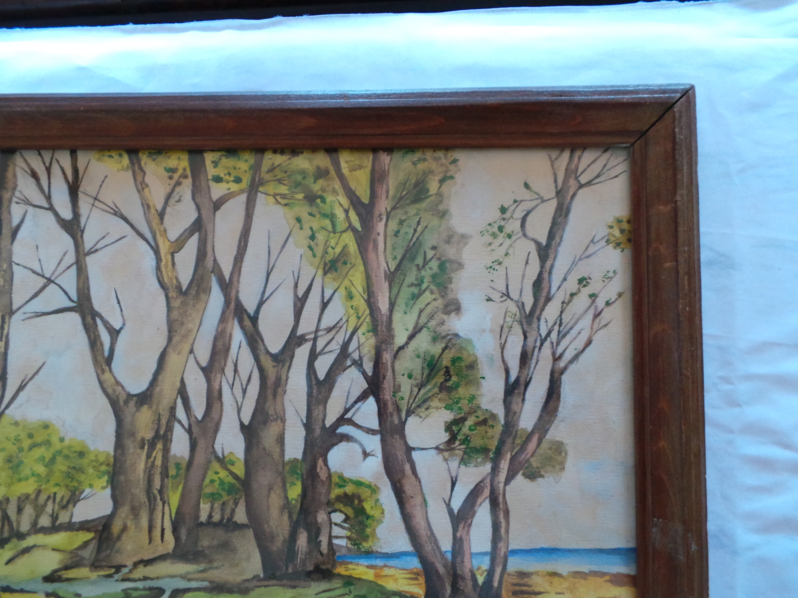 Niet of onleesbaar gesigneerd - Bosgezicht 20 eeuw kopen? Bied vanaf 1!