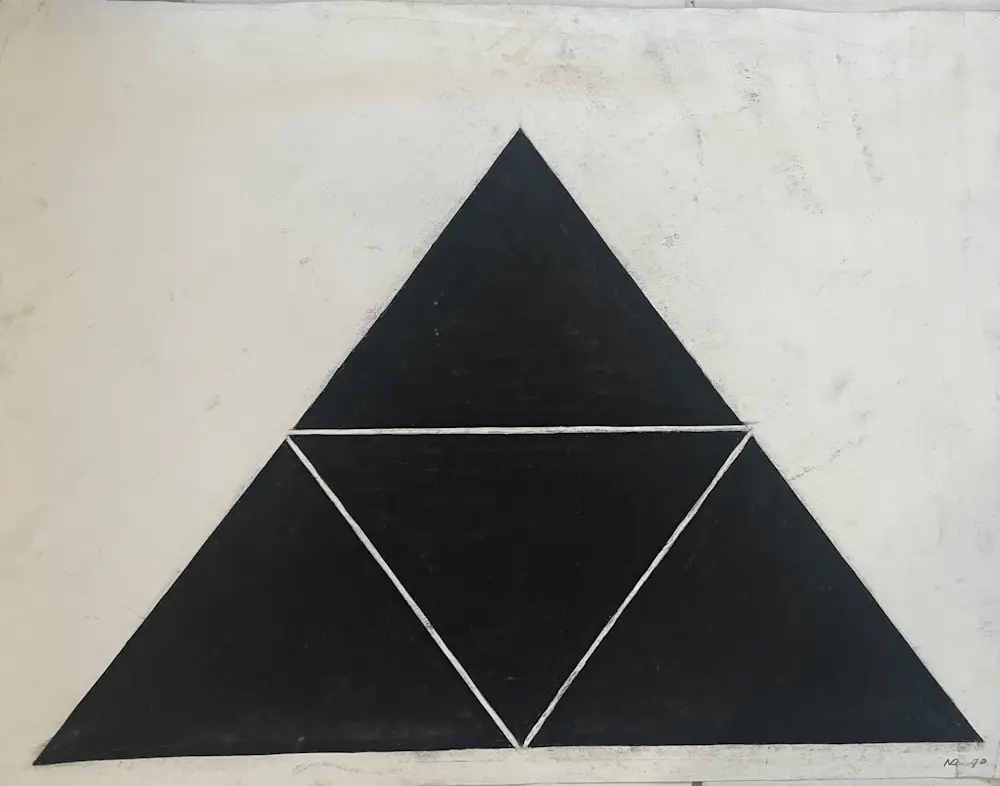 Niek van Driel (1954-2024)