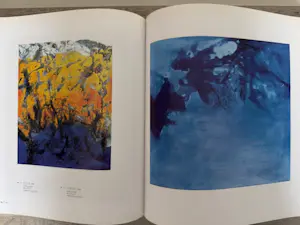 Zao Wou-Ki - Livre d'art - La quête du silence kopen? Bied vanaf 50!