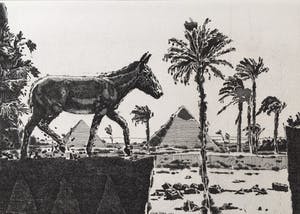 Simon Koene - Egypte met muilezel kopen? Bied vanaf 25!