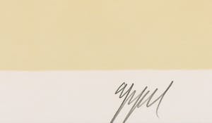 Karel Appel - Litho uit het portfolio Can we dance a landscape? - Ingelijst + originele map kopen? Bied vanaf 1!