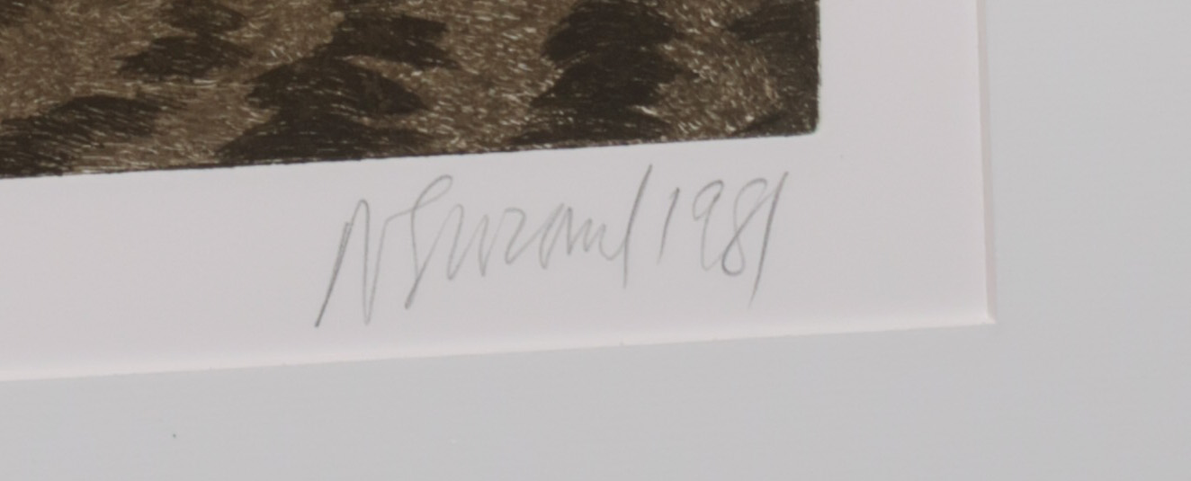 Barbara Newcomb - Kleurenlitho en blinddruk, Fairweather I - Ingelijst kopen? Bied vanaf 50!