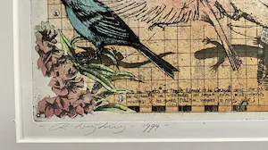 Rolf Weijburg - Flora y Fauna de las islas Canarias Occidentales kopen? Bied vanaf 85!
