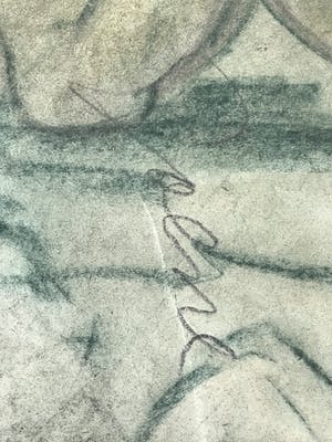 Rien Goene - Academische naakt studie kopen? Bied vanaf 450!