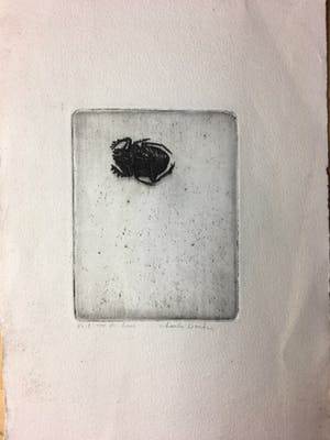 Charles Donker - Ets, luis kopen? Bied vanaf 40!