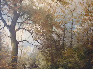 Frans Baaijens - Bos bij Vasse kopen? Bied vanaf 145!