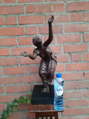 Karel Gomes - Dame, expressief in beweging kopen? Bied vanaf 450!