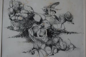 Pim Olivier - litho - Insekten met kikker kopen? Bied vanaf 40!