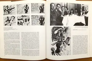 Karel Appel - Cobra - Alechinsky - Atlan - Dotremont en meer - 2 gebonden boeken - Zeer goed kopen? Bied vanaf 50!