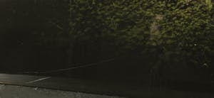 Bianca van der Werf - Foto, L'entrée de Babylone kopen? Bied vanaf 200!