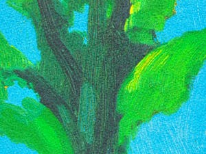 Jentsje Popma - Zomer kopen? Bied vanaf 90!