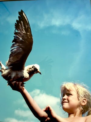 Margriet Smulders - AER-ALLEGORIE VAN DE LUCHT kopen? Bied vanaf 295!