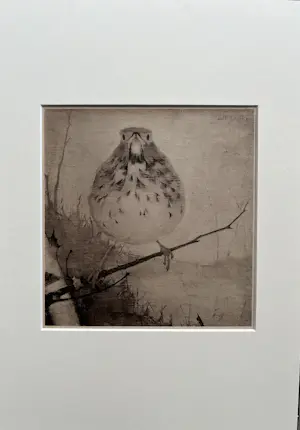 Jan Mankes - Originele Heliogravure Lijster op Tak 1923 kopen? Bied vanaf 185!
