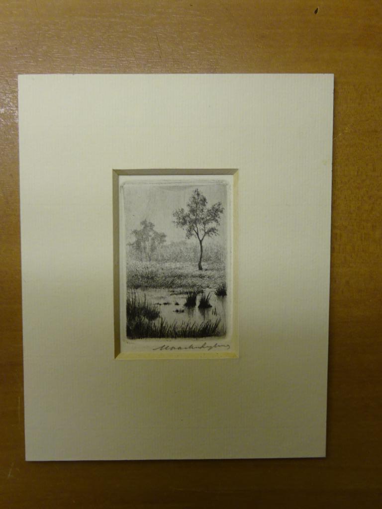 Maarten Langbroek - Boom aan een rivier kopen? Bied vanaf 1!