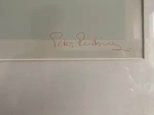 Peter Ruting - 2 Luik:Hierarchie kopen? Bied vanaf 1!