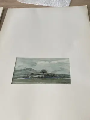 Poppe Damave - Maroc kopen? Bied vanaf 25!