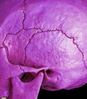 Mr. Strange - Death in Purple kopen? Bied vanaf 60!