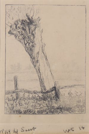 Wim Steijn - Potloodtekening, Wilg bij Soest kopen? Bied vanaf 50!