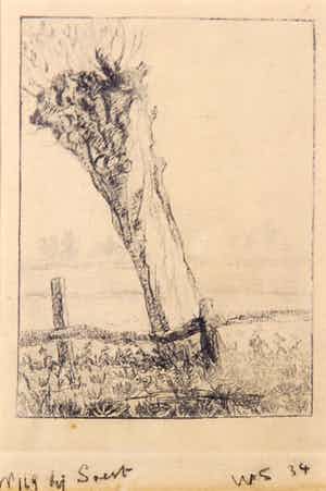 Wim Steijn - Potloodtekening, Wilg bij Soest verkocht voor € 50!