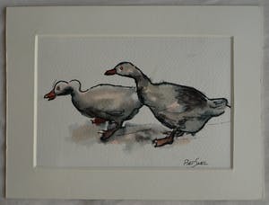 Piet Snel - 2x Aquarel , Ganzen kopen? Bied vanaf 35!