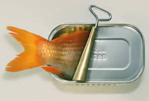 Dominic Rouse - 'Fish Can & Fish Can't' (2011) - Twee prenten kopen? Bied vanaf 140!