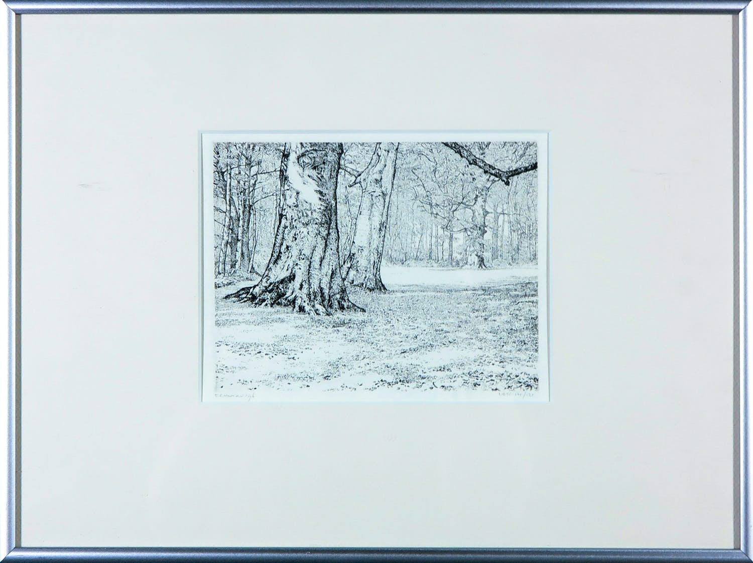 Reinder Homan - Ets, Zonnig bos kopen? Bied vanaf 100!