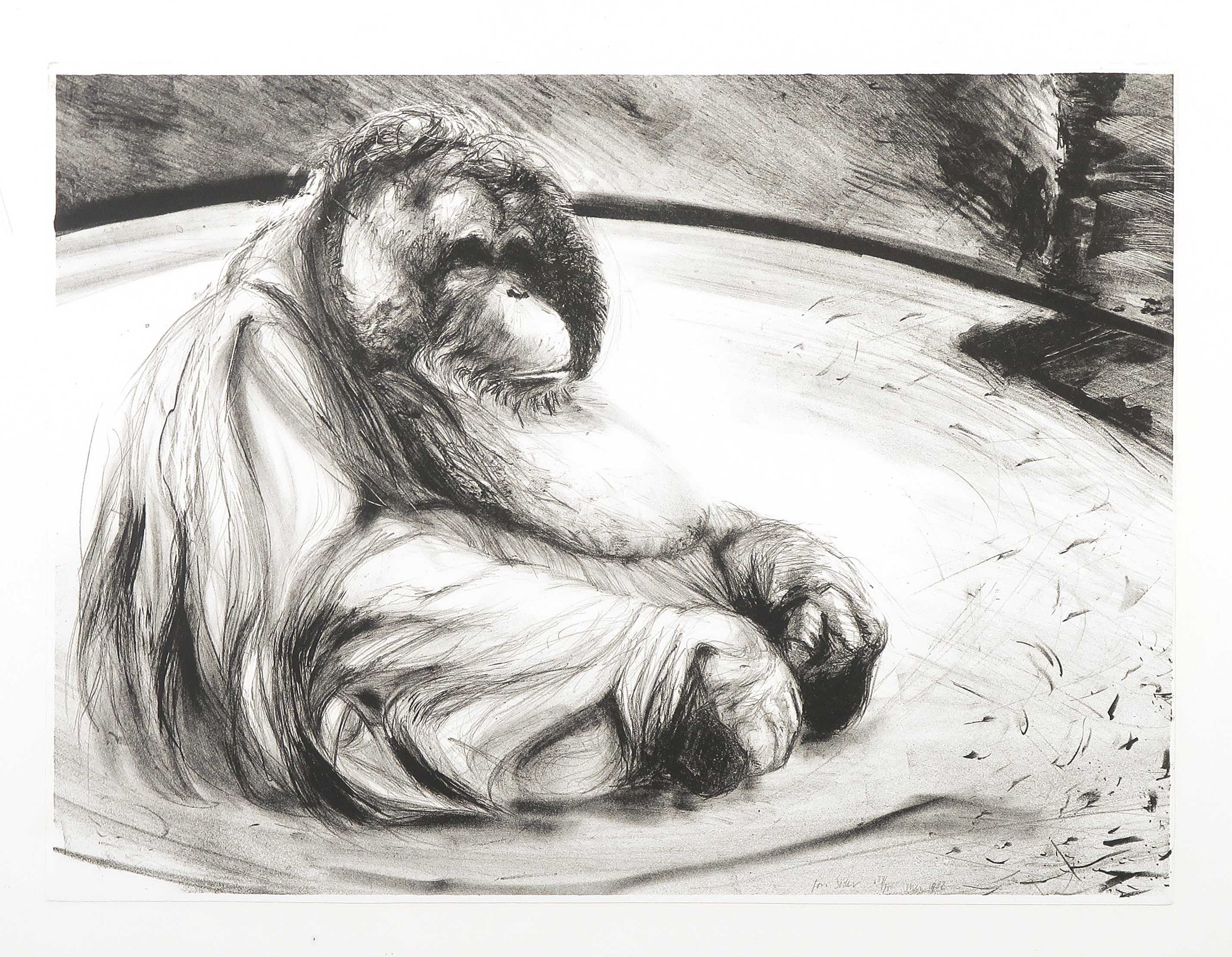 Ton Soder - Litho, Pi-ku - Ingelijst kopen? Bied vanaf 20!