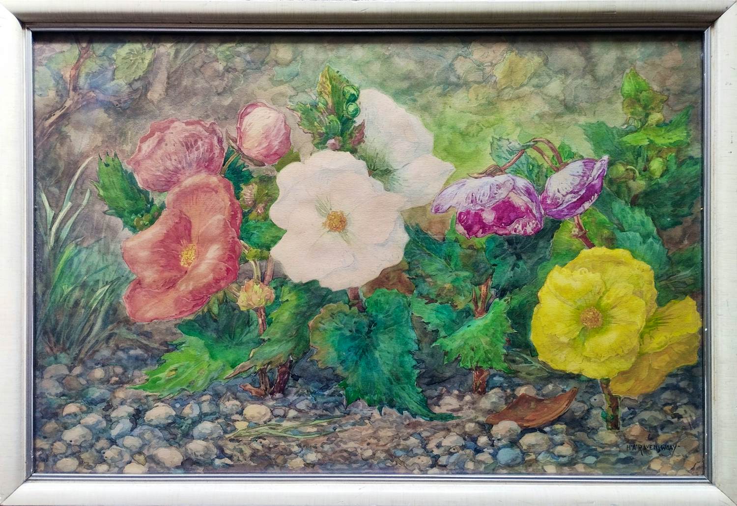 Huibert Antoine Ravenswaay - Stokrozen in de tuin -aquarel circa 1945- verkocht voor € 145!
