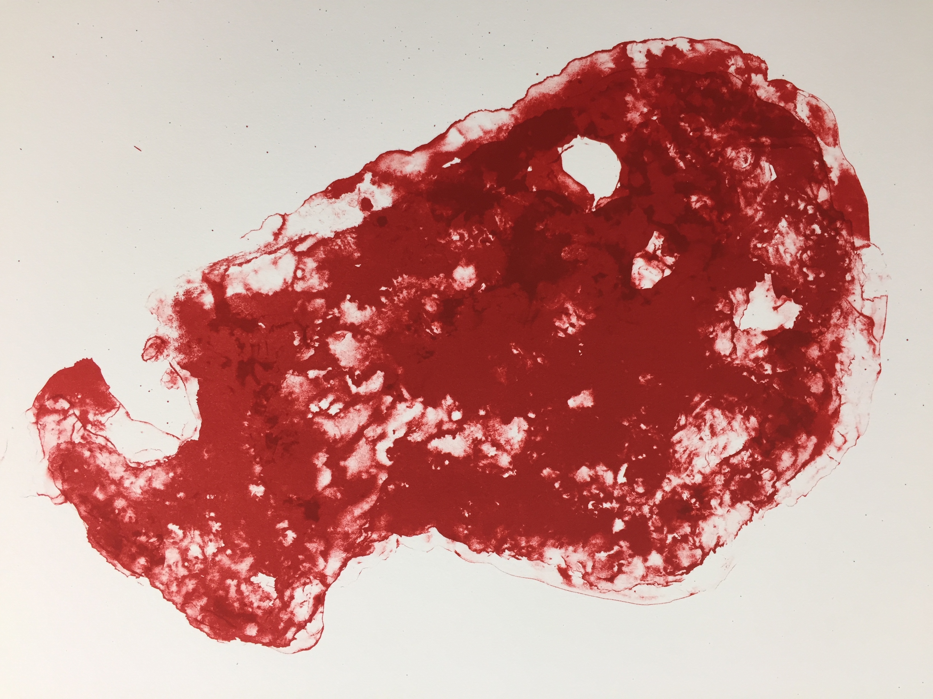 Armando - kleurenlitho, 'Der Kopf', 1989 verkocht voor € 379!