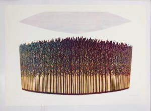 Doris Groeneveld - De bomen (groot) kopen? Bied vanaf 75!