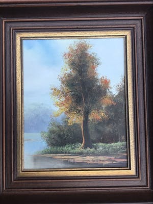 Niet of onleesbaar gesigneerd - Boom. kopen? Bied vanaf 1!