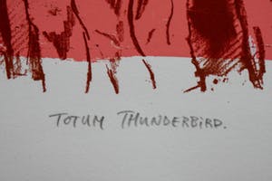 Harald Vlugt - Totum Thunderbird kopen? Bied vanaf 15!