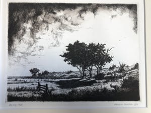 Harmen Kooistra - Landschap in onweer kopen? Bied vanaf 25!