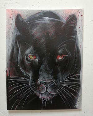 Niet of onleesbaar gesigneerd - Zwarte Panter kopen? Bied vanaf 1!