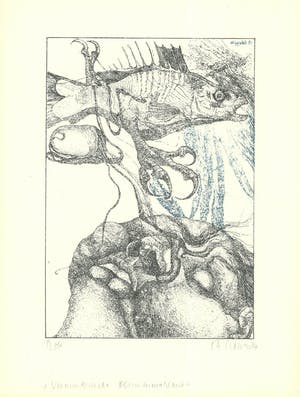 Reiner Schwarz - Handgesigneerde lithografie: Verwunderliche Blumenmahlzeit kopen? Bied vanaf 19!