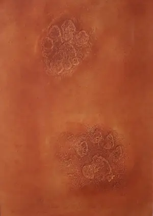 Peter Westerveld - Voetafdruk Jaguar 98 kopen? Bied vanaf 150!