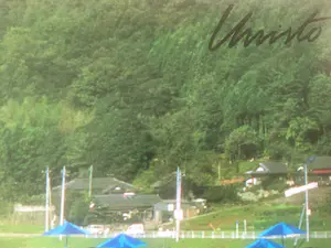 Christo - The Umbrellas, Ibaraki, Japan Site 1984-91 kopen? Bied vanaf 300!