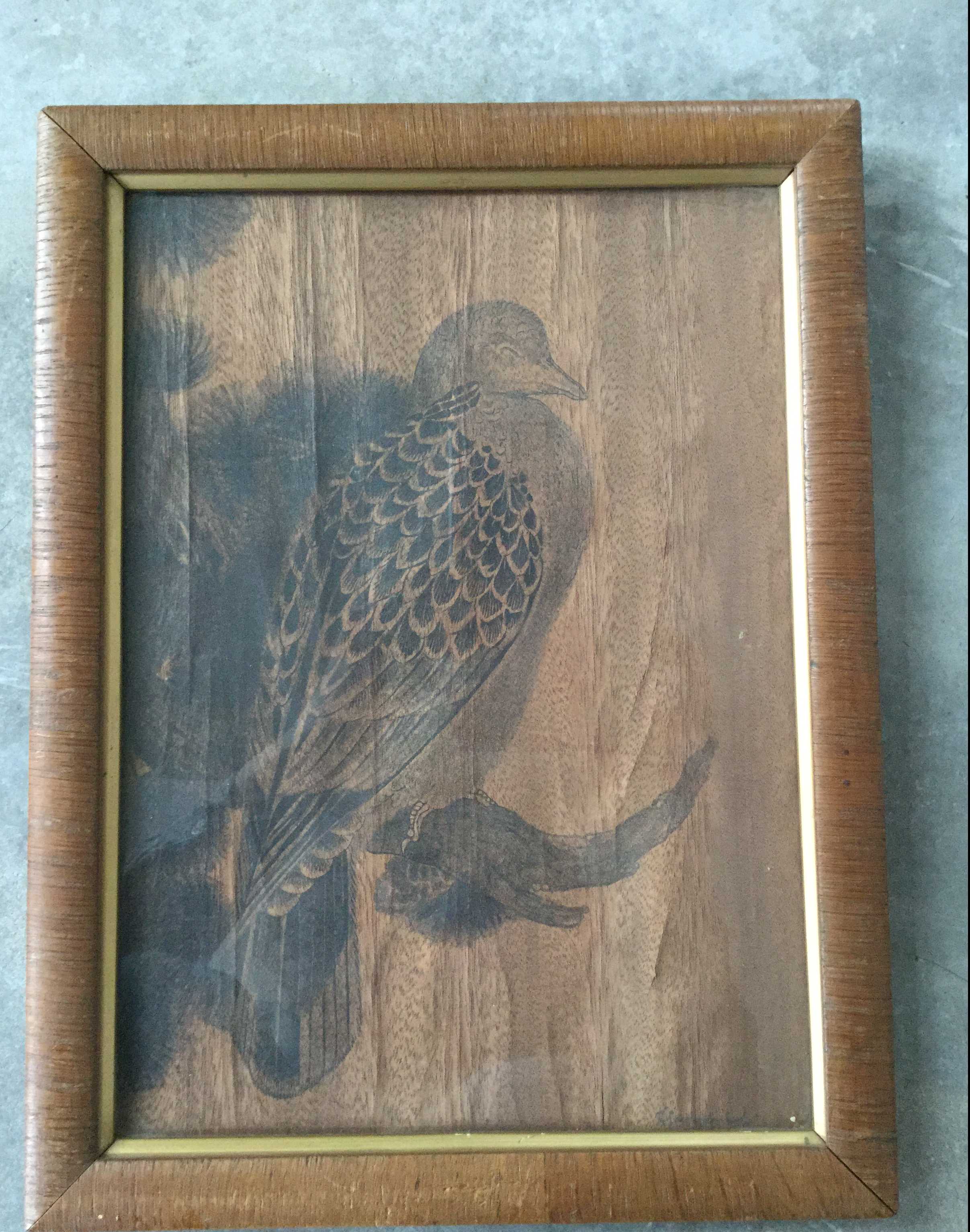 Theo Goedvriend - C2269-10 Vogel kopen? Bied vanaf 35!