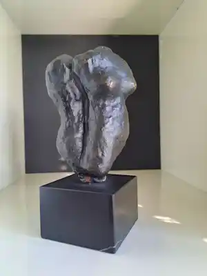 Susanne den Hoed - Torso man en vrouw verkauft für € 120!