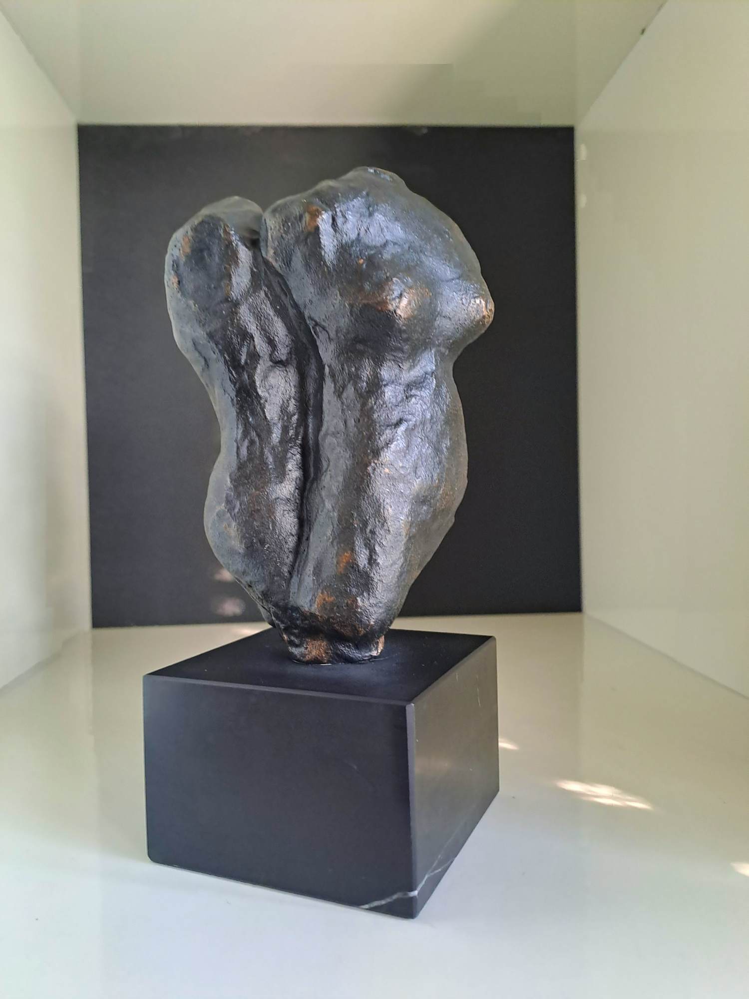 Susanne den Hoed - Torso man en vrouw kopen? Bied vanaf 120!